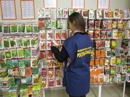 Россельхознадзор 33 региона нашел в продаже запрещенные семена