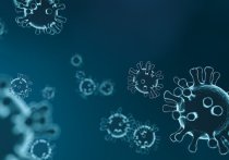 Минцифры России запустило на сайте госуслуг новый сервис, с помощью которого можно получить медицинский сертификат на основании результатов теста на антитела к коронавирусу