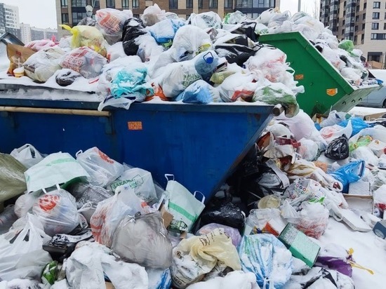 Межведомственная группа возьмет на контроль мусорную реформу после провала Смольного