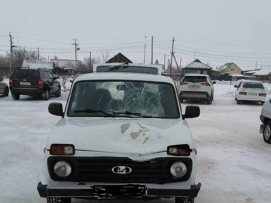 В Омской области в аварии погибла девушка-пешеход