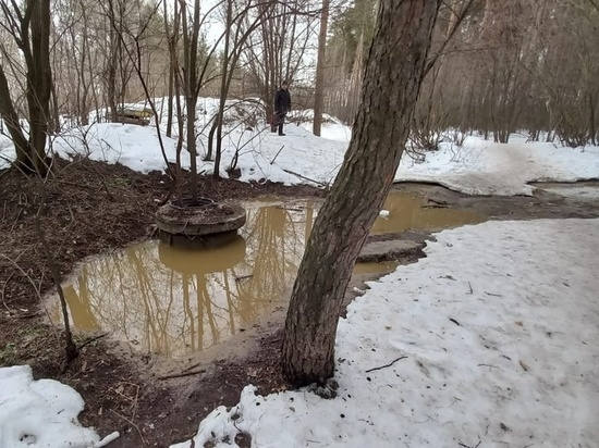 Воронежские экологи подтвердили факт протекания канализации в Северном лесу
