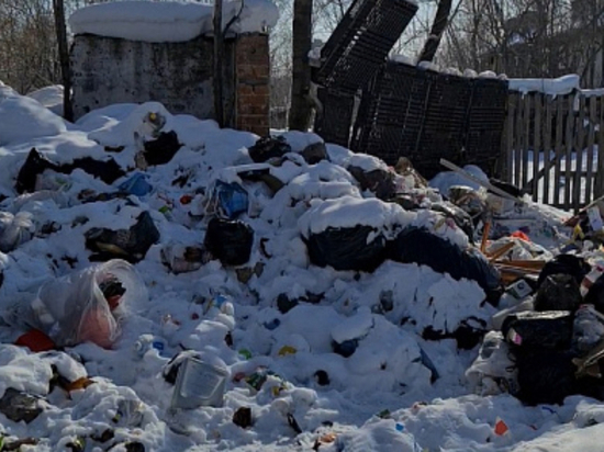 В Хабаровске ликвидирована свалка на улице Краснофлотской, 4