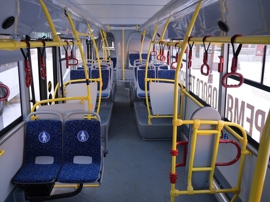 Новгородская область потратит на новые автобусы полмиллиарда рублей