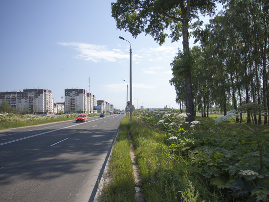 Участок дороги от границы Пскова в сторону Изборска отремонтируют в 2022 году