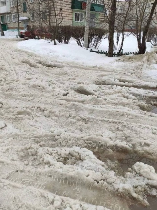 Жители Каменки жалуются на неубранные дворы