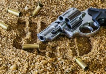В Верховной Раде в первом чтении принят законопроект о праве гражданских лиц иметь огнестрельное оружие