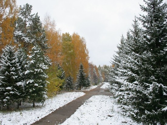 Пасмурная погода со снегом ожидается 24 февраля в Томске