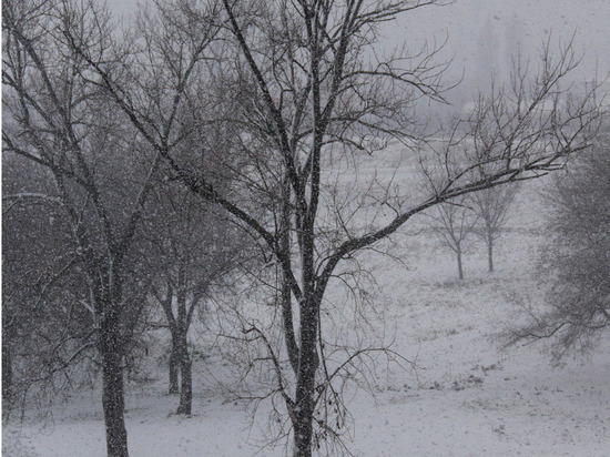 Жителей Мурманской области ожидает ухудшение погоды 24 и 25 февраля - в регион придет метель