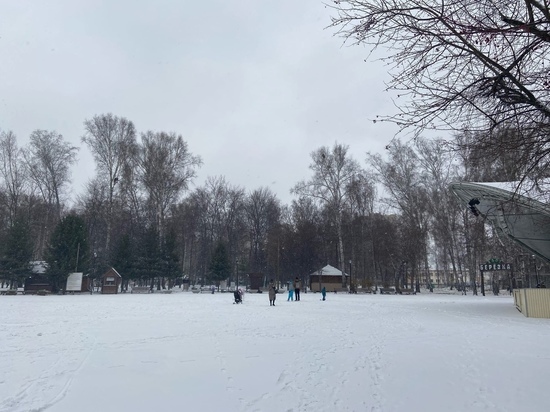 Крепкий ветер и метель обрушатся на Омск