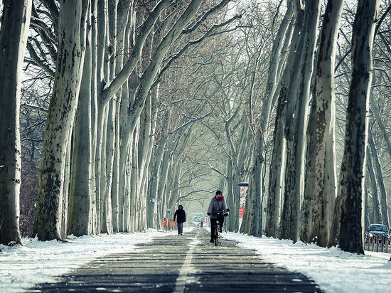 24 февраля погода в Смоленской области стабилизируется