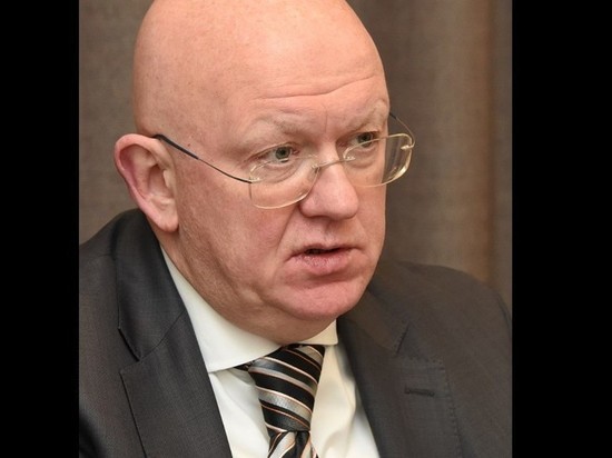 Небензя: «Не называйте это войной. Это называется специальная военная операция»