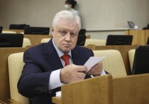 Лидер фракции «СР» Сергей Миронов считает, что после того, как российская армия займет границы Донецкой и Луганской областей, «операция будет успешно завершена»