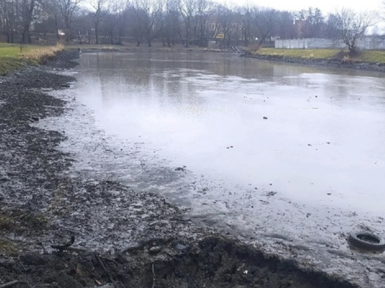 Кто на самом деле чистит Замковый и Парковый пруды в Черняховске и куда «утекают» 100 миллионов