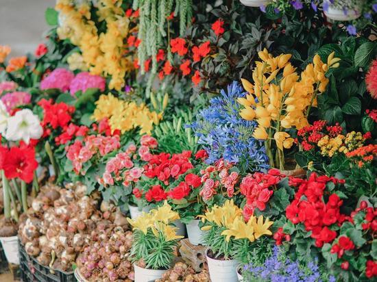 В Петрозаводске пьяный житель ограбил цветочный магазин