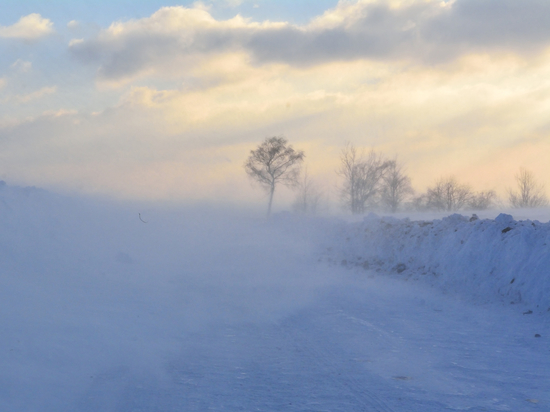 В выходные НАО накроет метель