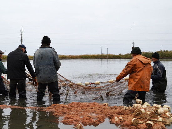 Конкретного сценария для паводка в Астраханской области пока нет
