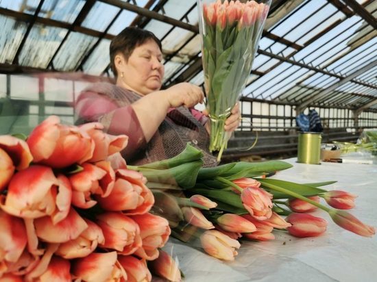Брянцам в канун 8 марта предложат 24 тысячи тюльпанов