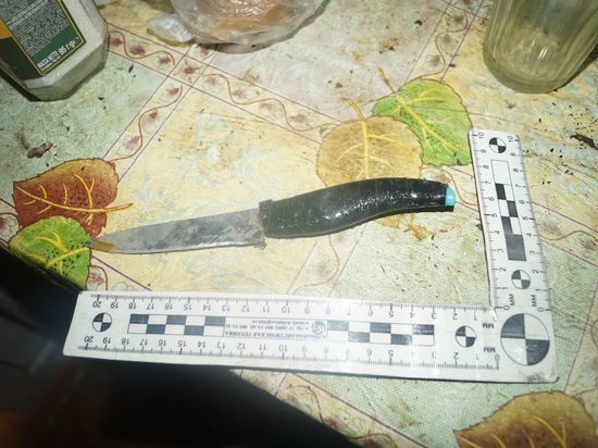 Жителя Вязьмы будут судить за убийство жены