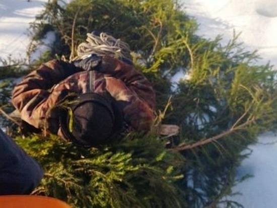 В Ивановской области лыжник травмировал ногу в лесу - пришлось вызывать спасателей