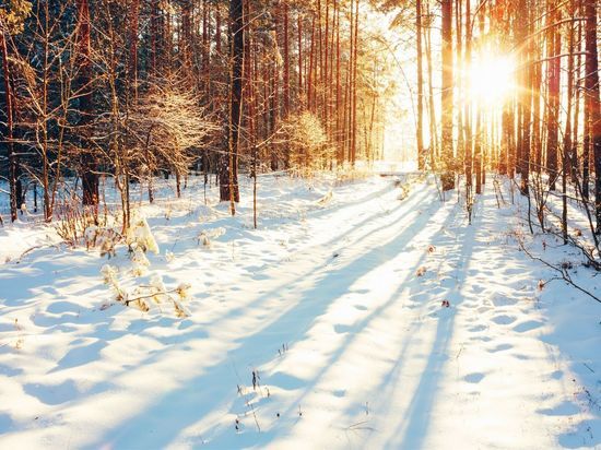 Небольшое похолодание придет в Новгородскую область 27 февраля