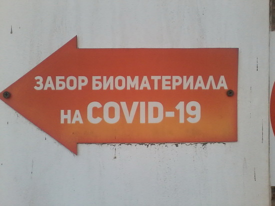 В Саратовской области ежедневно проводят от 7,5 до 13 тысяч исследований на коронавирус