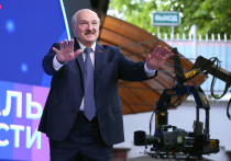 «Остановить Зеленского» попросили представители украинской элиты президента Белоруссии Александра Лукашенко