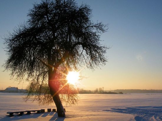 Мороз и туман: какой будет погода 28 февраля в Новгородской области