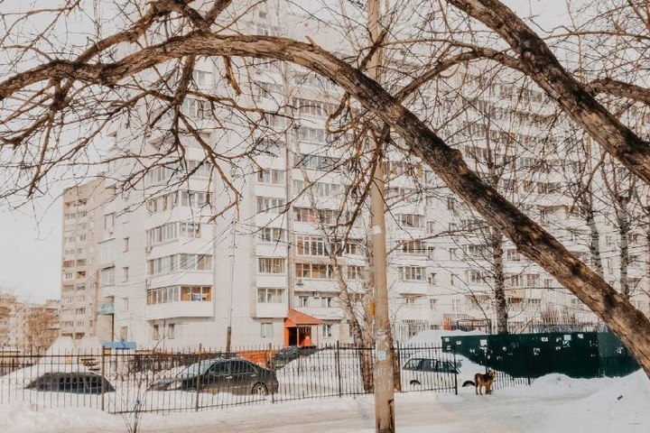 Московский комсомолец хабаровск. Хабаровск климат. Хабаровск сейчас. Хабаровск погода фото.