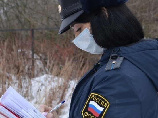 Риск лишиться дорогой иномарки побудил ивановку оплатить долг в 500 тысяч рублей