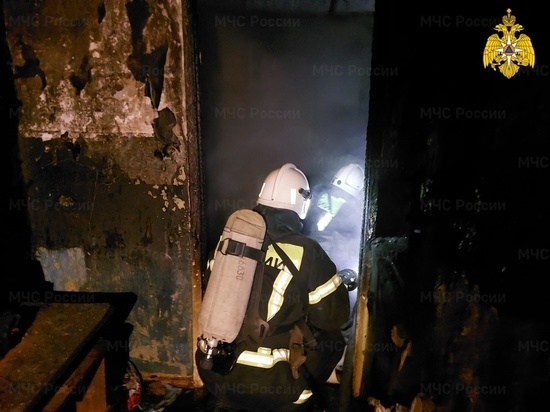 В Смоленске на Котовского утром горела квартира