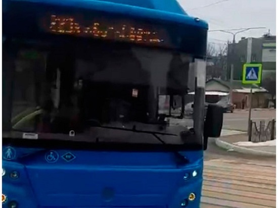 В Белгороде водитель пассажирского автобуса сбил двух женщин на пешеходном переходе
