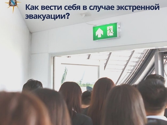 В Курске выросло число ложных сообщений о минировании общественных зданий