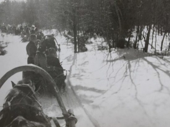 80 лет со дня отправки партизанского обоза отметят в Дедовичском районе