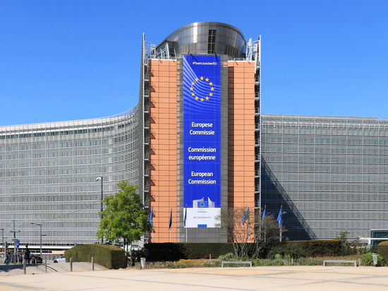 Заявка Украины на вступление в ЕС зарегистрирована