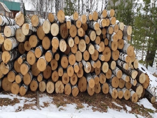 Кузбассовец нарубил дров на 420 000 рублей