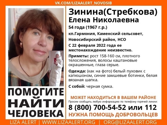 Женщина ушла на встречу и пропала в Новосибирске