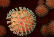 В столице за минувшие 24 часа выявили 2 066 новых случаев инфицирования коронавирусом