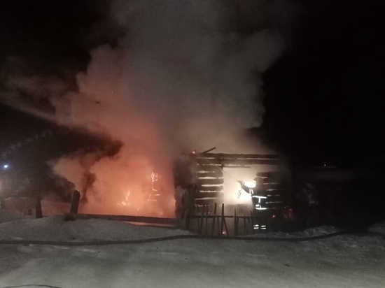 Пламя обрушило крышу дома в новгородской деревне