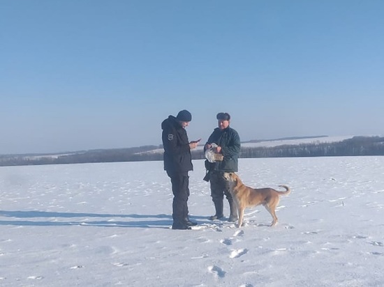 В Белгородской области закончился сезон охоты на пушных зверей