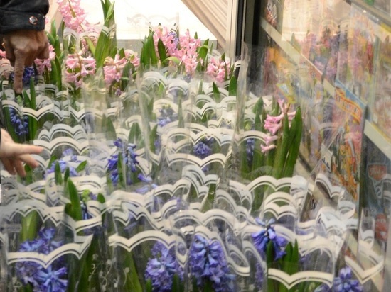 Тонны цветов не привезут к 8 марта из Бельгии и Нидерландов в Екатеринбург