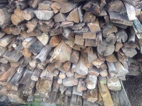 Сразу четыре бензопилы похитил смолянин у предпринимателя в Сычевском районе