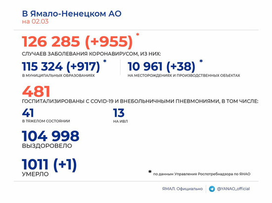 На Ямале за сутки коронавирус выявили у 955 человек