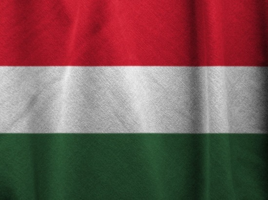 Венгрия осудила действия РФ на Украине и призвала к мирному урегулированию