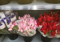 Тюльпаны появились пока не во всех супермаркетах и цветочных магазинах города, но во многих точках их уже продают