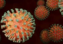 Количество заболеваний коронавирусом за минувшие сутки в Забайкалье снизилось до 1257, а вот подтвержденных летальных случаев с этим диагнозом увеличилось до шести