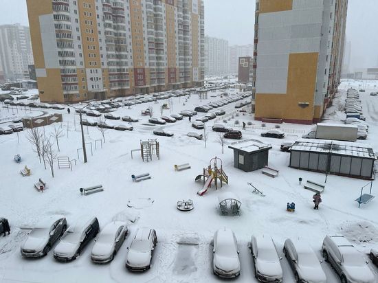 В Курскую область вернулась зима