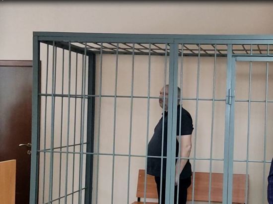 В УФСБ рассказали подробности по делу о ложном минировании зданий судов