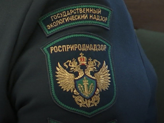 В Тутаеве моторный завод наказали за экологическое преступление