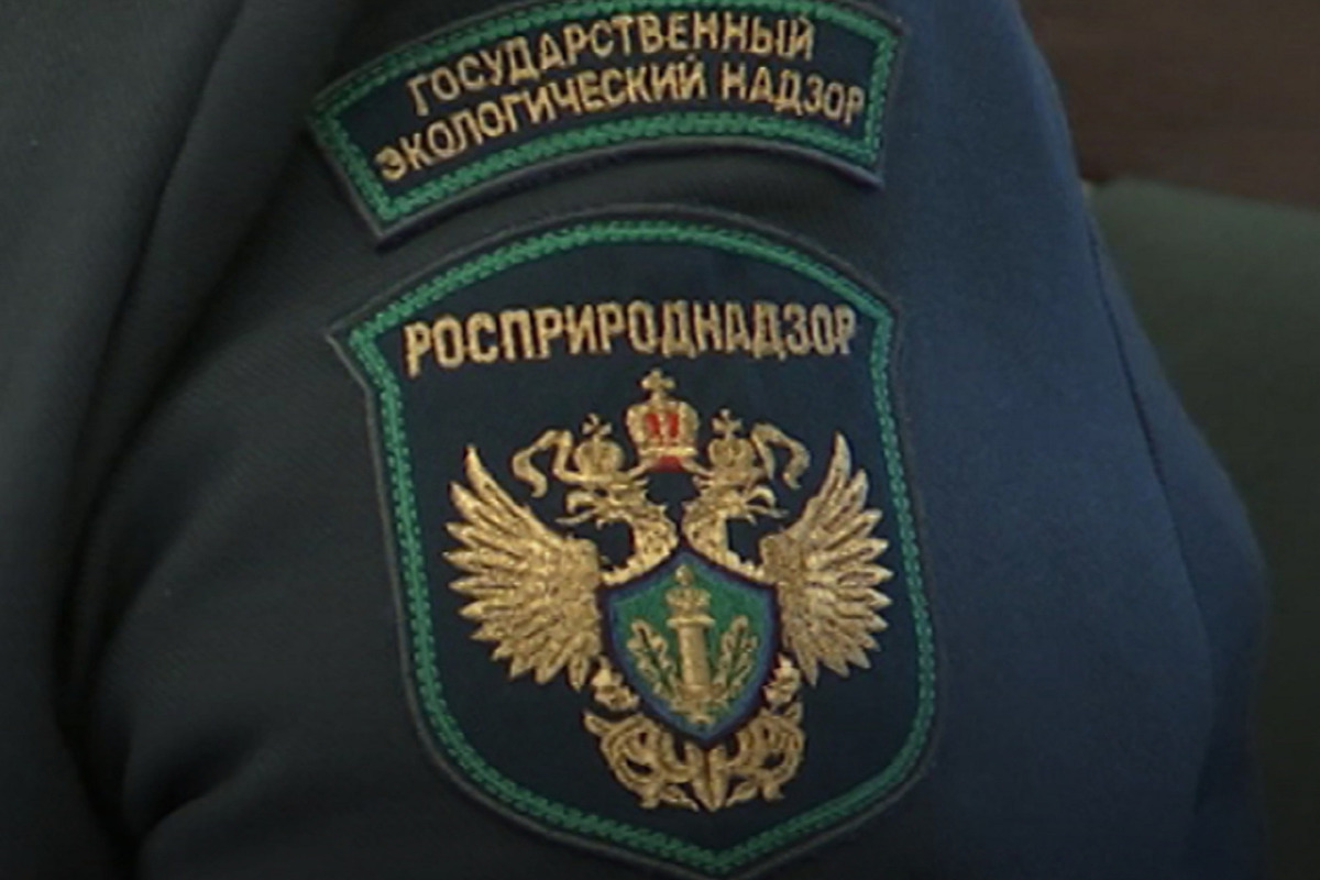 В Тутаеве моторный завод наказали за экологическое преступление