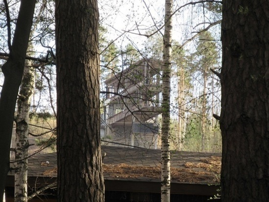 Отменено строительство дороги в лесопарке Уктус